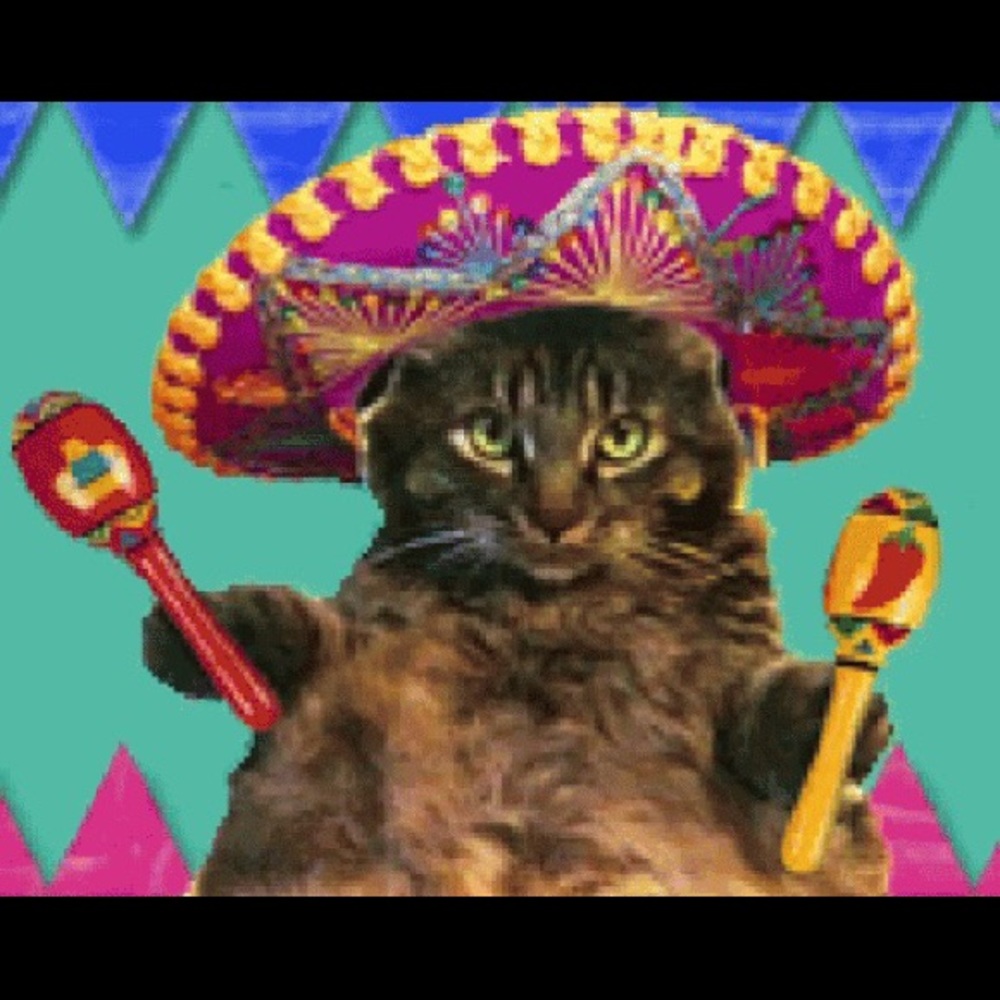 Meet your Posher, Cindi